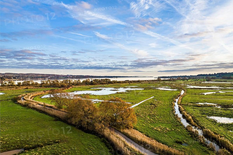 Wetlands and Marshes in RSPB Exminster and Powderham Marshe from a drone, Exeter, Devon, England, United Kingdom, Europe