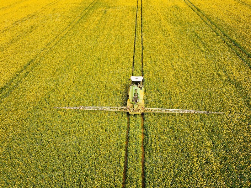 Crop protection products are applied to a rapeseed field on the outskirts of Dresden