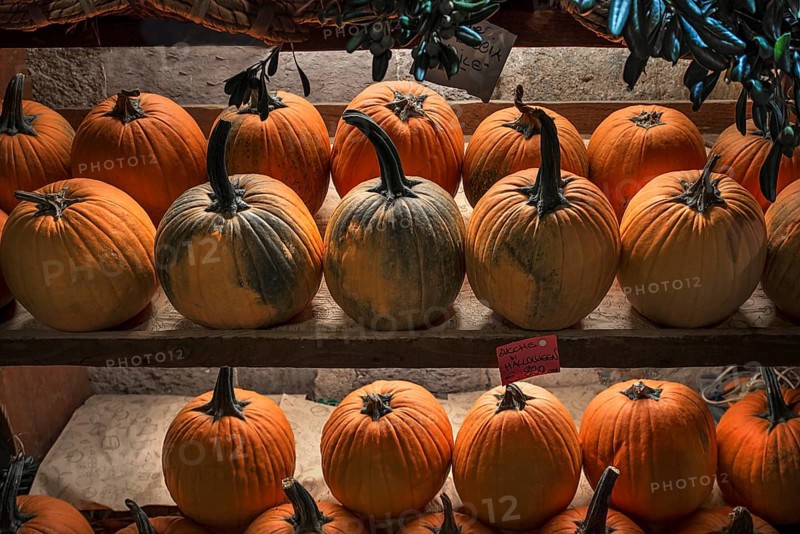 Shelves of Hokkaido pumpkins in a greengrocer's shop in the historic centre, Genoa, Italy, Europe