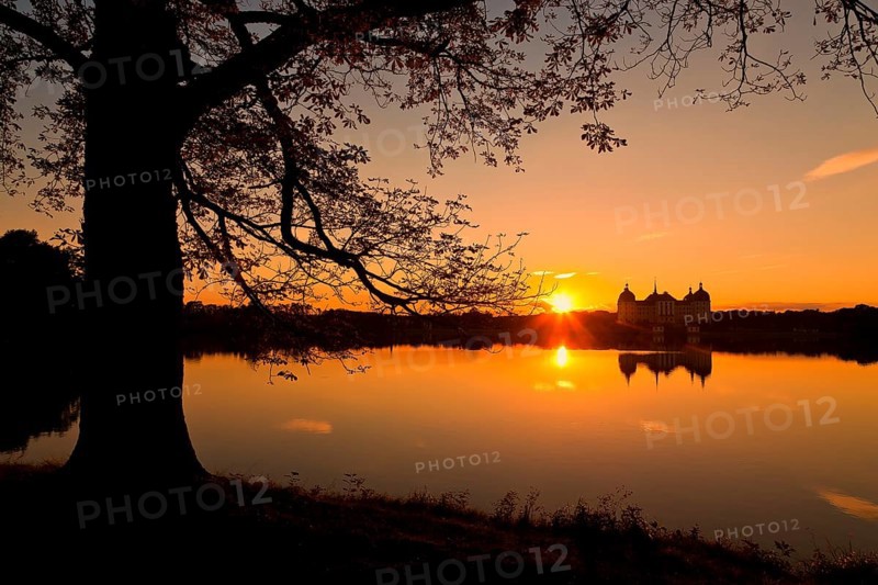 Moritzburg Baroque Palace