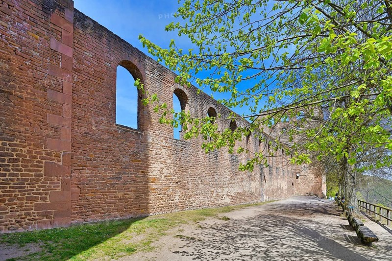 Bad Dürkheim, Germany, April 2021: Outer wall surrounding old ruin of Limburg Abbey in Palatinate forest, Europe