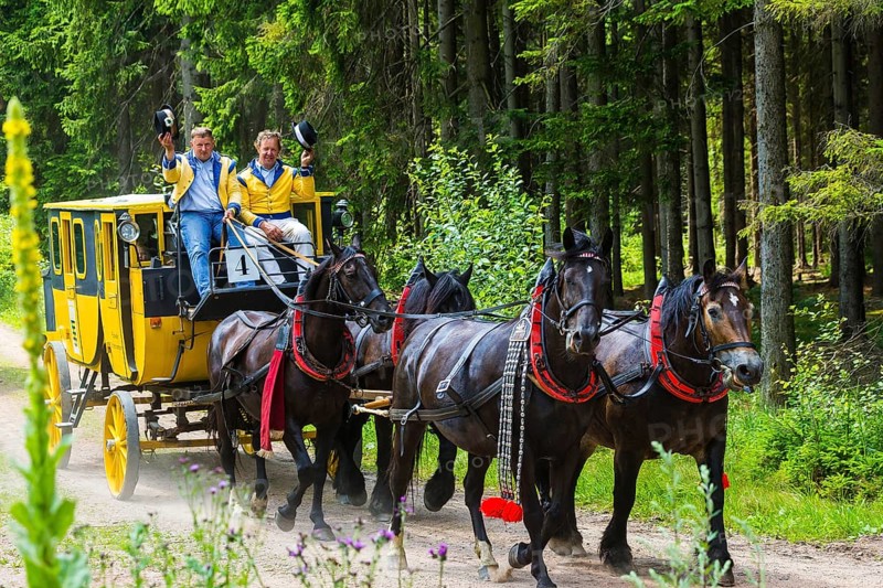 8th stagecoach meeting in Grillenburg