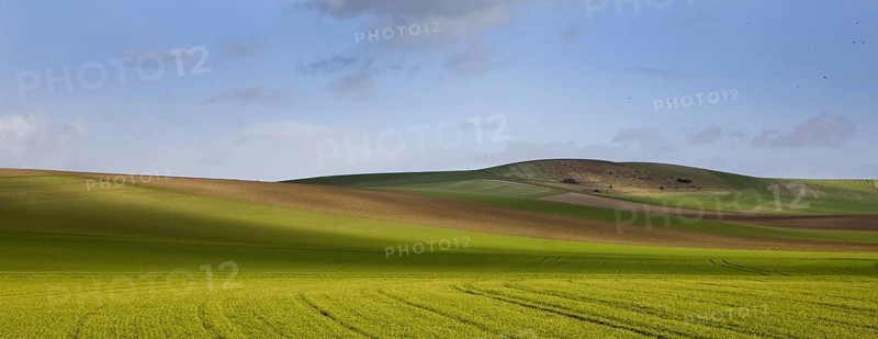 Agricultural landscape showing fields at the French Opal Coast, Côte d'Opale, France, Europe