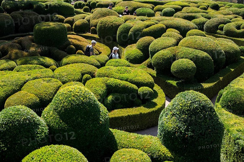 Boxwood garden, Les Jardins de Marqueyssac, Vezac, Dordogne, Périgord, Département Dordogne, Region Nouvelle-Aquitaine, France, Europe