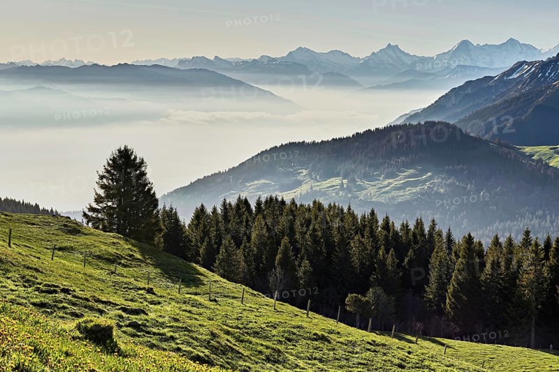 View from the Gurnigel Pass over the sea of fog behind Schreckhorn, Eiger, Mönch, Canton Bern, Switzerland, Europe