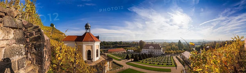 DEU Saxony Radebeul Wackerbarth Castle or Wackerbarths Ruh' is a baroque castle surrounded by vineyards in the NiederlöÃŸnitz district of Radebeul on the road to MeiÃŸen, which serves as the headquarters of the Saxon State Winery. The winery belongs to the LöÃŸnitz vineyard and is located in the Radebeuler Johannisberg vineyard