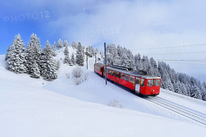 Cogwheel railway travelling through snow-covered forest, Rigi Kulm, Canton Schwyz, Switzerland, Europe