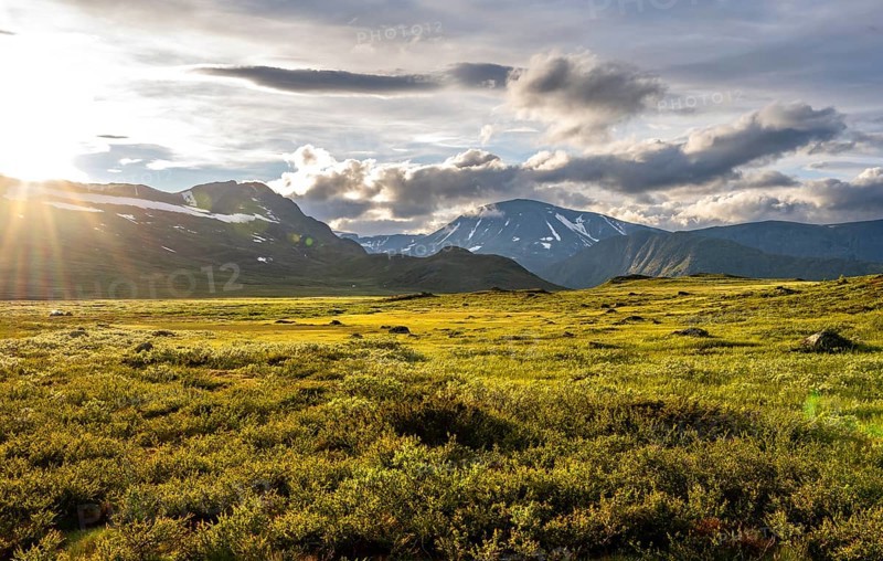 Barren mountain landscape at sunset, Fjell, Oystre Slidre, Jotunheimen National Park, Norway, Europe