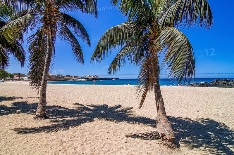 Nice sandbeach with palms and rocks. Tarrafal. Santiago. Cabo Verde. Africa