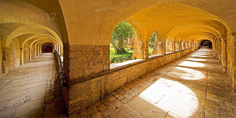 Cloister with view through the cemetery to the Thousand Year Rosebush, Mariendom, Hildesheim, Lower Saxony, Germany, Europe