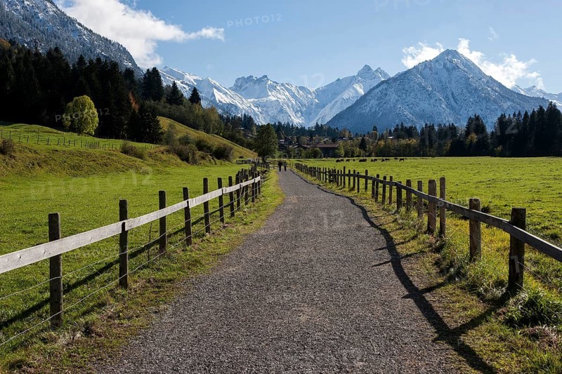Kalkofenweg, snow-covered AllgÃ¤u Alps in the background, near Oberstdorf, OberallgÃ¤u, AllgÃ¤u, Bavaria, Germany, Europe