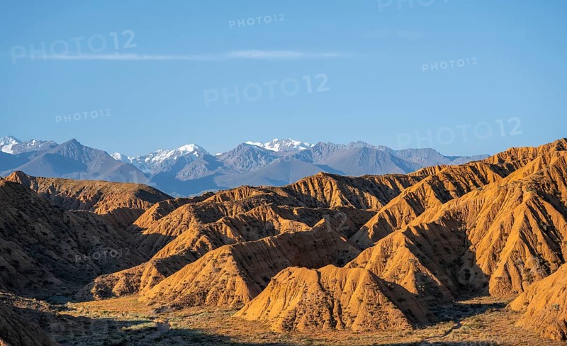 Landscape of eroded hills at sunrise, badlands, white mountain peaks of the Tian Shan Mountains in the background, Canyon of the Forgotten Rivers, Issyk Kul, Kyrgyzstan, Asia
