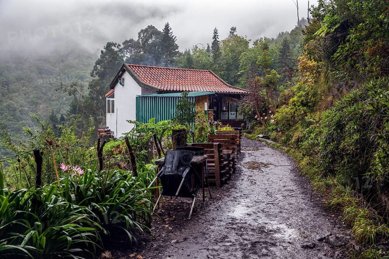 Snack Bar Flor da Selva on the PR11 Vereda dos BalcÃµes hiking trail through laurel forest to the Miradouro Balcoes viewpoint, Ribeiro Frio, Madeira, Portugal, Europe