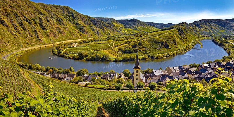 Moselle loop with vineyards and Saint Laurentius Church from the Bremmer Calmont via ferrata, Bremm, Rhineland-Palatinate, Germany, Europe