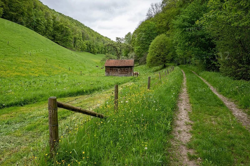 Hiking trail to the ReuÃŸenstein ruins, Wiesensteig, Swabian Alb, Baden-Württemberg, Germany, Europe