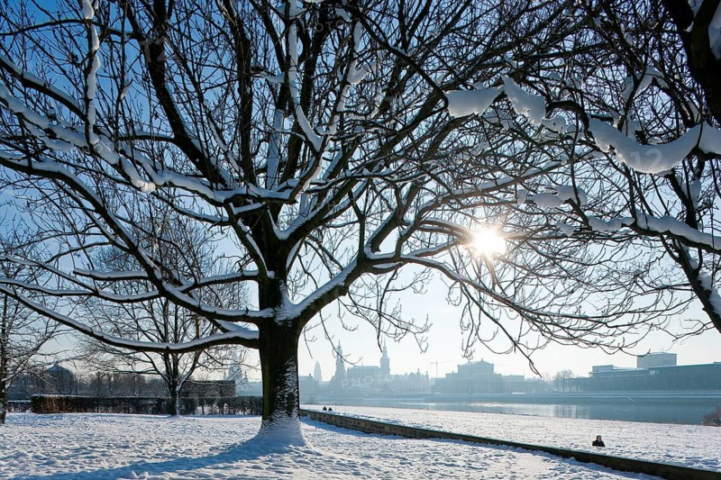 Dresden silhouette in winter