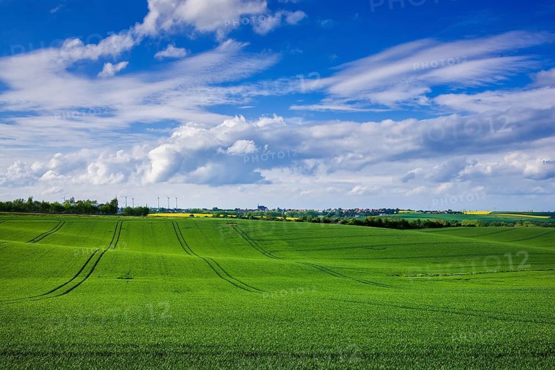 Fields near Lommatzsch