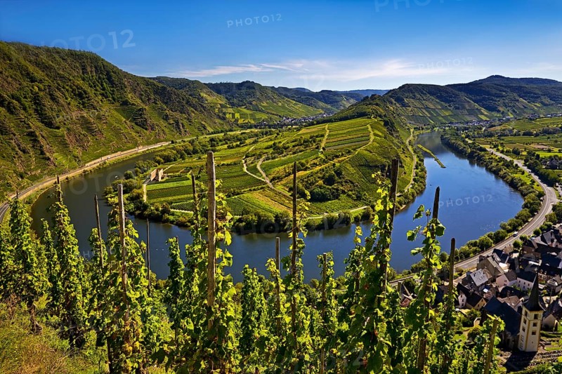 Moselle loop with vineyards and Saint Laurentius Church from the Bremmer Calmont via ferrata, Bremm, Rhineland-Palatinate, Germany, Europe