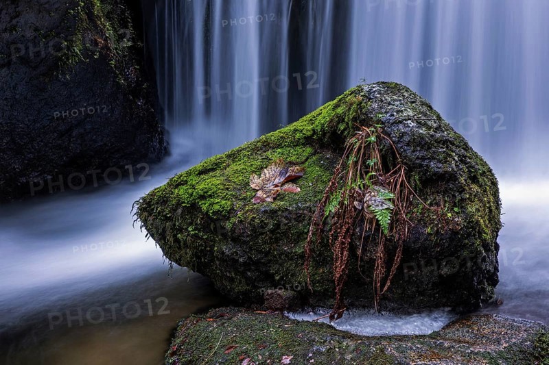 Gertelbach, Gertelbach Waterfalls, Gertelbach Falls, close-up, Gertelbach Gorge, Bühl, Bühlertal, Northern Black Forest, Black Forest, Baden-Württemberg, Germany, Europe