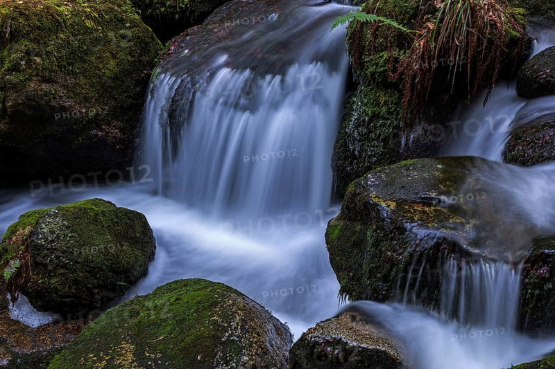 Gertelbach, Gertelbach Waterfalls, Gertelbach Falls, Gertelbach Gorge, Bühl, Bühlertal, Northern Black Forest, Black Forest, Baden-Württemberg, Germany, Europe