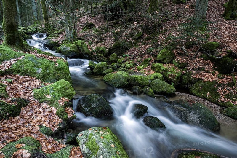 Gertelbach, Gertelbach Waterfalls, Gertelbach Falls, Gertelbach Gorge, Bühl, Bühlertal, Northern Black Forest, Black Forest, Baden-Württemberg, Germany, Europe