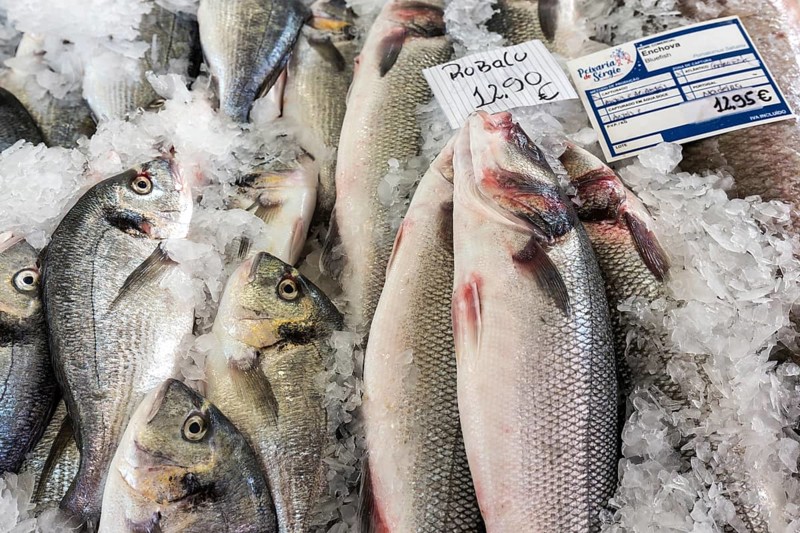 Sea bream (Sparus aurata), fish market, Mercado dos Lavradores market hall, Funchal, Madeira Island, Portugal, Europe