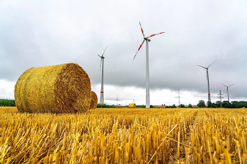 Power lines, high-voltage power lines, wind turbines, grain field, north-east of Höxter, North Rhine-Westphalia, Germany, Europe
