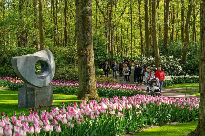 The Keukenhof, gardens, amusement park, spring park, spring flower show, near Lisse, South Holland, Netherlands, tulip, daffodil and hyacinth show with over 7 million flowers, one of the biggest tourist attractions in Holland