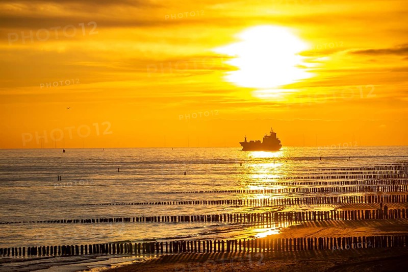 Sunset on the beach of Zoutelande, beach with wooden pile breakwaters, cargo ship sailing towards the Westerschelde, Zeeland, Netherlands