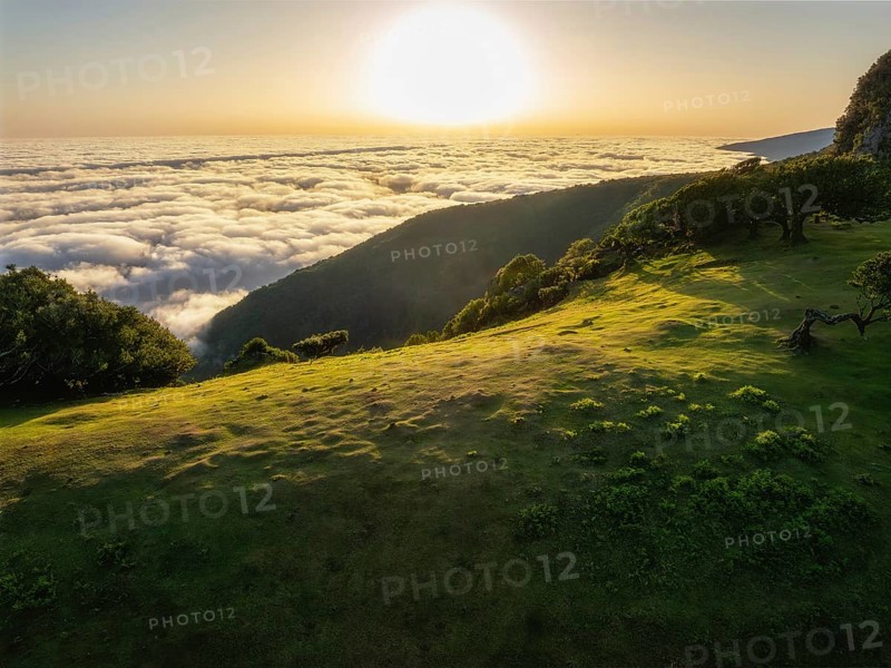 Aerial view of sunrise above clouds and green hills at Fanal mountain, Madeira island, Portugal, Europe