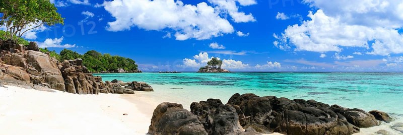 La Digue, Palm tree beach, Seychelles, Indian Ocean, Palm trees, La Digue, Indian Ocean, Seychelles, Africa