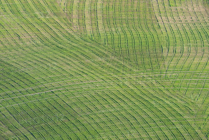 Traces on a cultivated area, Crete Senesi, Province of Siena, Tuscany, Italy, Europe