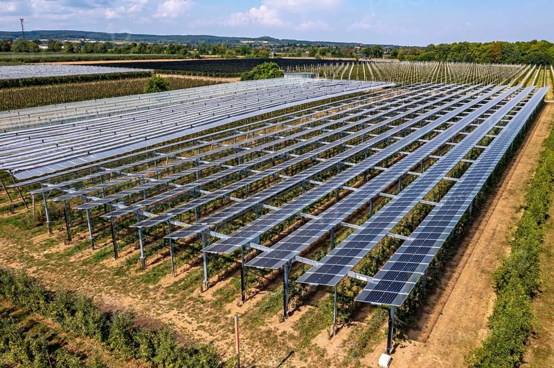 Agri-photovoltaic test plant, an apple orchard with two different systems of PV modules was roofed over 3000 square metres, rain and sunlight comes through, at the same time protection against hail and heavy rain, next to it are the same trees but without a solar roof, as a comparison object, how the PV roof affects the trees and harvest, the field test is accompanied by the Fraunhofer Institute for Solar Energy Systems ISE, in Grafschaft-Gelsdorf, Rhineland-Palatinate, Germany, Europe