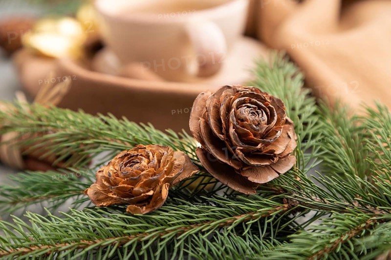 Christmas or New Year composition. Decorations, cones, cinnamon, fir and spruce branches, cup of coffee, wool scarf on a gray concrete background. Side view, close up, selective focus
