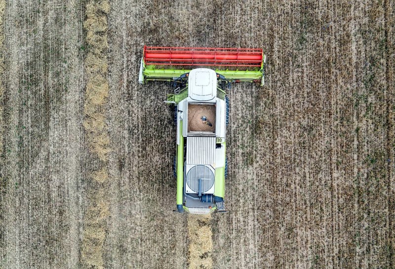Aerial view of combine harvester harvesting grain on an organic farm, Müncheberg, 28/07/2020