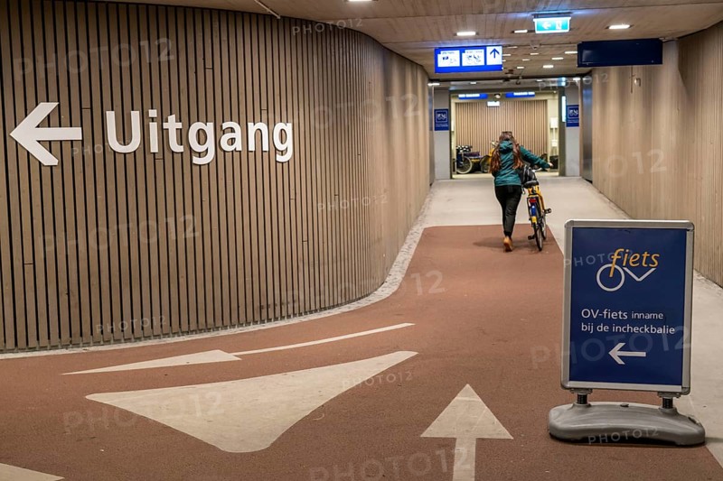 Bicycles at the OV-Fiets rental station, at Utrecht Central Station, hundreds of rental bikes waiting to be used, offer of the Dutch railway NS, for customers, low rental costs, available at almost every station, Utrecht, Netherlands