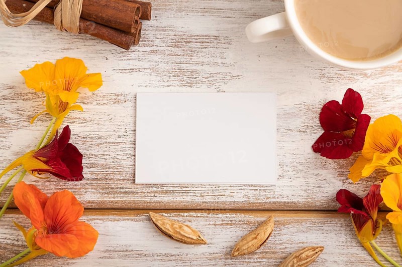 White paper business card mockup with orange nasturtium flower and cup of coffee on white wooden background. Blank, top view, flat lay, copy space, still life. spring concept