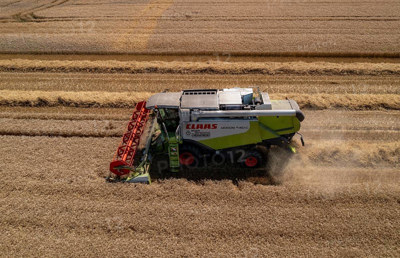 Agriculture, grain harvest, wheat, combine harvester harvesting in a wheat field, near Niederkrüchten, North Rhine-Westphalia, Germany, Europe