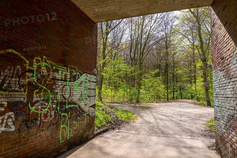 The Sterkrader Wald in Oberhausen, at the Oberhausen motorway junction, where the A2/A3A/A516 meet, it is to be expanded, 11 hectares of forest, around 5, 000 trees are to be felled for this, strong resistance to the plans has formed in the region, #Sterkibleibt, North Rhine-Westphalia, Germany, Europe
