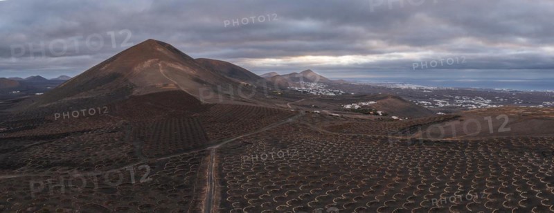 Grapevines growing in black volcanic soil in protected enclosed pits, La Geria, Lanzarote, Canary Islands, Spain, Europe