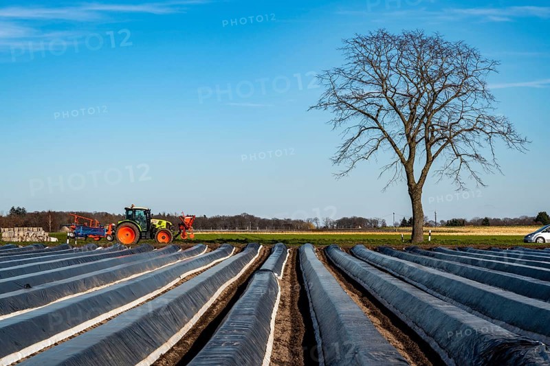Agriculture on the Lower Rhine, early season, asparagus cultivation in spring, under plastic sheeting, foil tunnel, asparagus field, landscape under plastic sheeting, Walbeck, town of Geldern, North Rhine-Westphalia, Germany, Europe