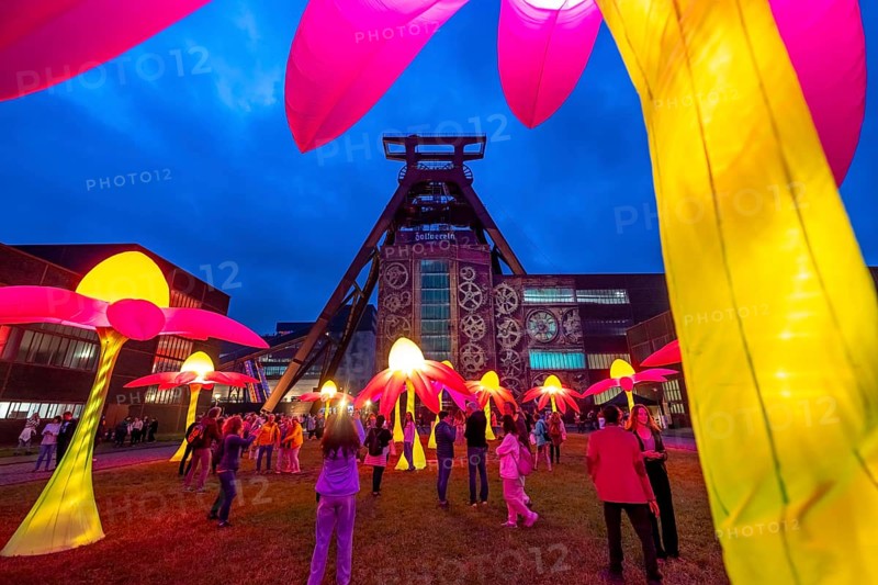 Extraschicht, the long night of industrial culture, cultural festival across the Ruhr region, 35 venues in 19 cities, here Illuminating flowers at the Zeche Zollverein in Essen, Doppelbock pithead winding tower shaft 12, North Rhine-Westphalia, Germany, Europe