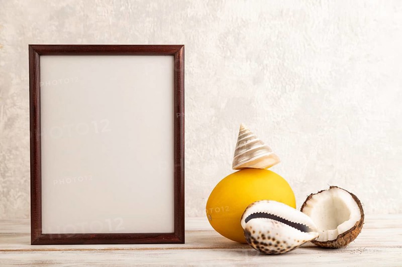 Wooden frame with melon, coconut, seashells on gray concrete background. Side view, copy space. Tropical, healthy food, vacation, holidays concept