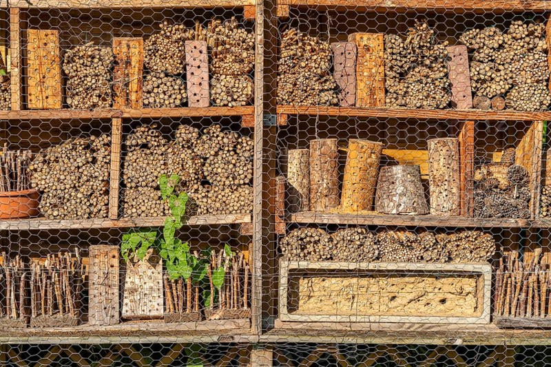 Model gardens in Grugapark, garden at the House of Bees, insect hotel, horticultural design of various gardening styles Essen, North Rhine-Westphalia, Germany, Europe