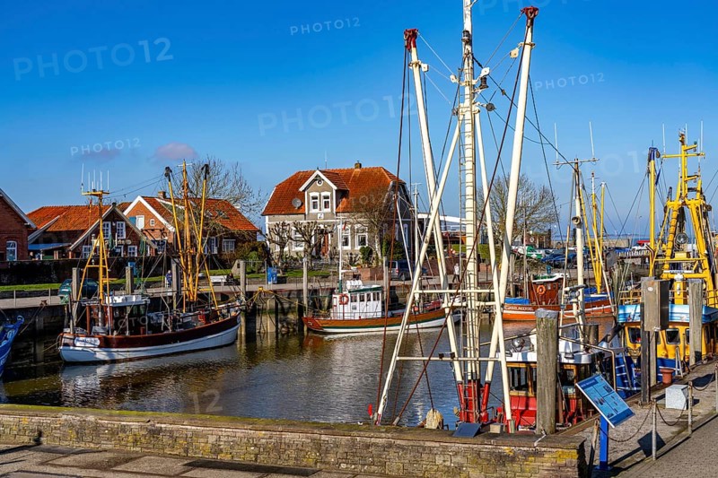 Cutter harbour Neuharlingersiel, Lower Saxony, Germany, Europe