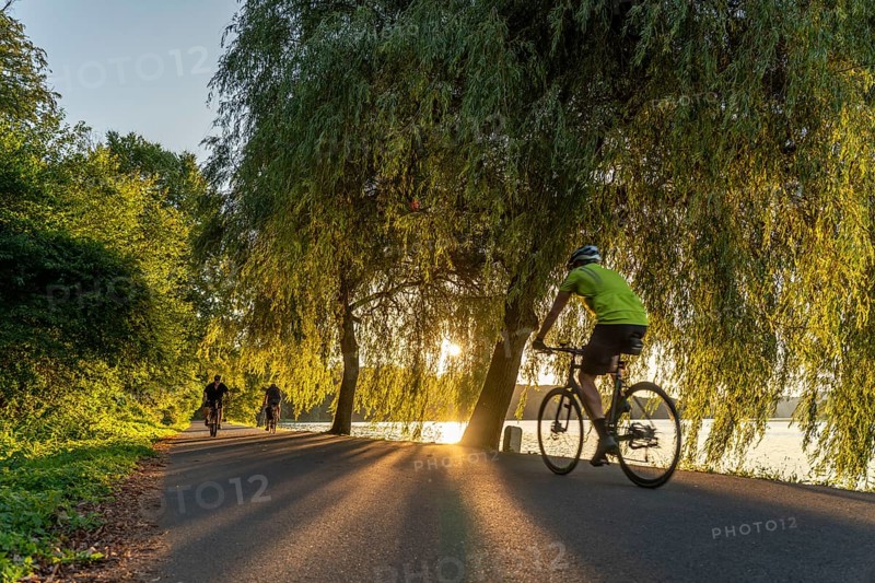Cycling on Lake Baldeney, around 14 kilometres around the Ruhr reservoir, summer evening on the eastern shore, Essen, North Rhine-Westphalia, Germany, Europe