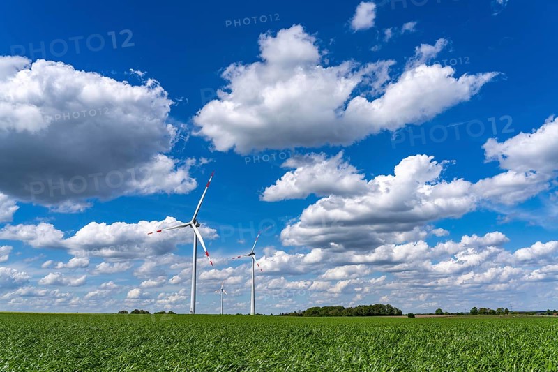 Wind farm, wind turbine, wind turbines from the manufacturer Enercon, blue sky with many white clouds, between Schermbeck and Dorsten, country road, Bestener StraÃŸe, North Rhine-Westphalia, Germany, Europe