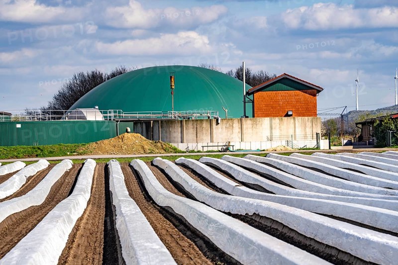 Asparagus fields, asparagus stems under foil, for faster growth, biogas plant on a farm, near Kirchhellen, district of Bottrop, North Rhine-Westphalia, Germany, Europe