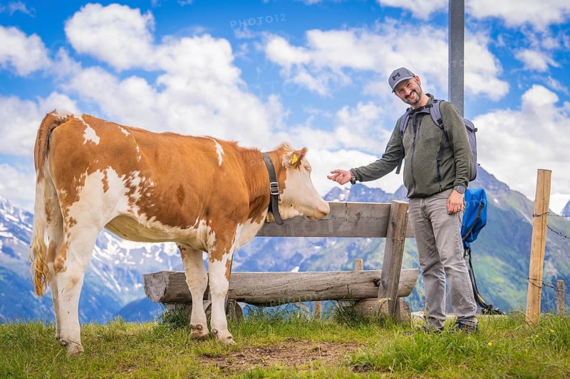 A man in outdoor clothing smiles and strokes a cow next to a bench against a mountain backdrop under a blue sky with clouds, Penken, Zillertal. Austria
