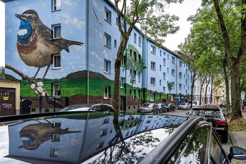 Residential buildings on Feldsieper StraÃŸe in Bochum, after an energy-efficient refurbishment, with facade insulation, the Bochumer WohnstÃ¤tten Wohnungsgenossenschaft had the buildings painted with a large mural by Dortmund graffiti artist Denis Klatt, it shows a bluethroat and a landscape with trees, life below ground and lots of sky on the entire facade, Bochum-Hamme, North Rhine-Westphalia, Germany, Europe